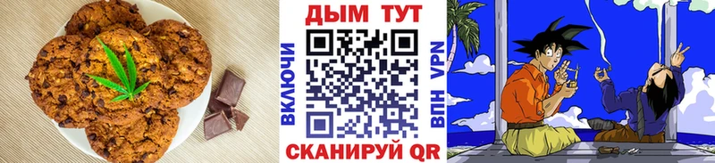 Canna-Cookies марихуана купить закладку Красный Холм