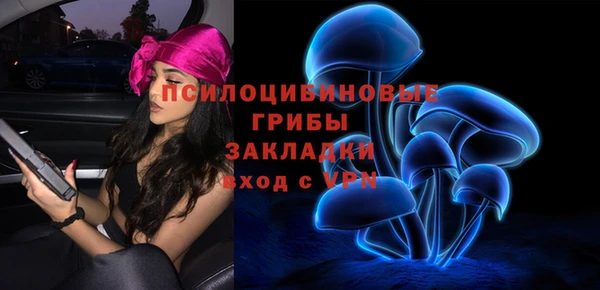 дживик Беломорск