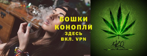 apvp Белокуриха