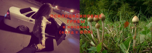 дживик Беломорск