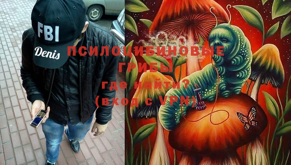 apvp Белокуриха